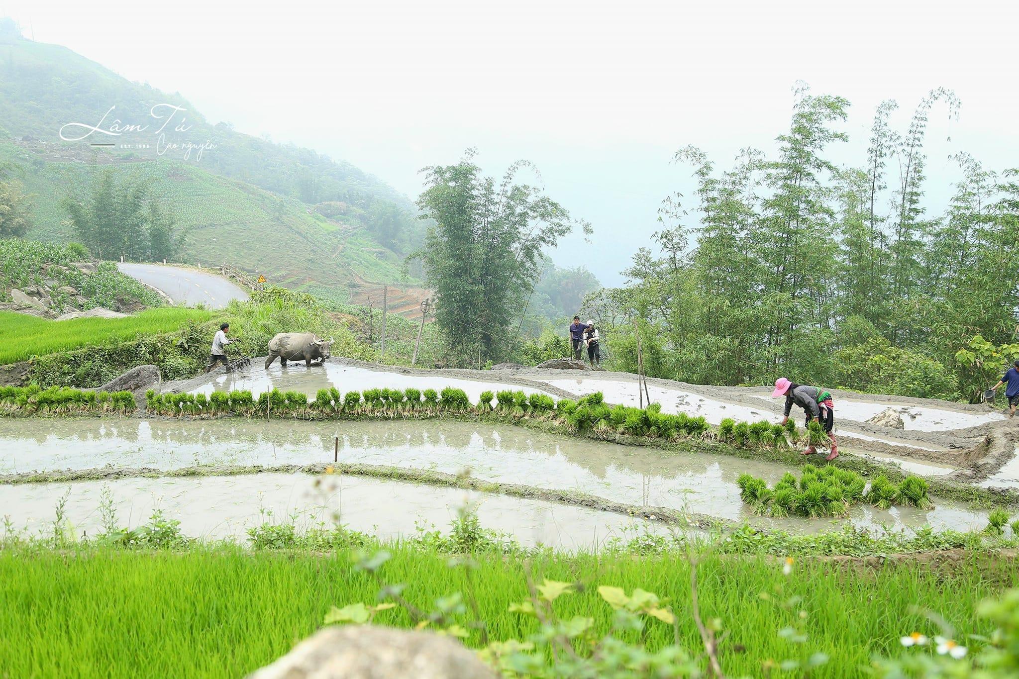 Khám phá cao nguyên cách Hà Nội 200km, cảnh núi non chẳng khác trời Âu, thử sức với đặc sản nghe nhắc tên đã “nhăn mặt” - 4