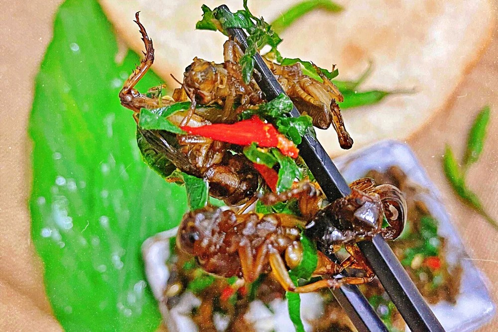 Khám phá ngọn núi vừa đẹp, vừa huyền bí ở Đồng Nai, hút khách du lịch quanh năm, được ví như “Đà Lạt của Đông Nam Bộ” - 5