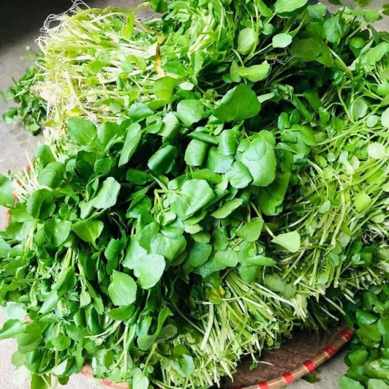 Cây rau nước Mỹ chấm &#34;10 điểm&#34;, xưa mọc đầy bờ mương nay thành đặc sản bán đầy chợ với giá rẻ, tốt cho bà bầu - 4