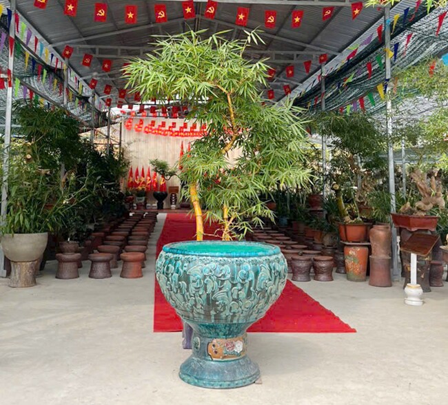 9X Bắc Giang biến cây dại mọc bờ bụi ở làng quê thành kiệt tác bonsai, có cây khách trả 500 triệu vẫn chưa đồng ý bán - 6