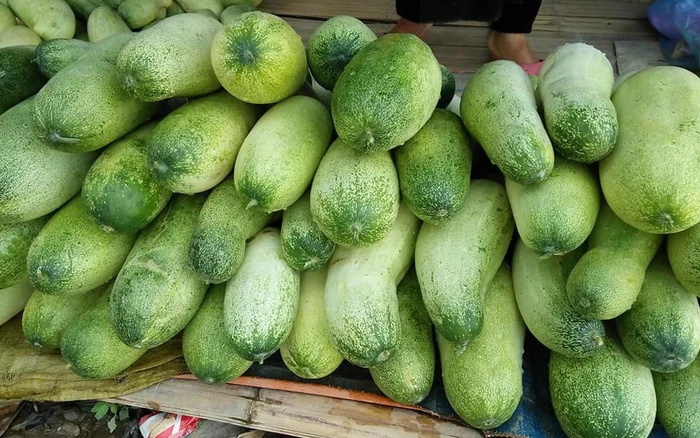 Loại quả xưa có đầy không ai ngó ngàng, nay thành đặc sản người thành phố ưa chuộng vì hương vị lạ, 40.000 đồng/kg - 4