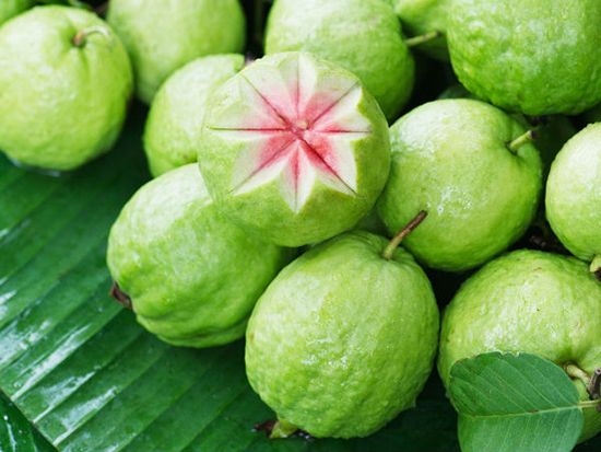 Loại quả xưa rụng đầy không ai ăn, nay thành đặc sản có hương vị đặc biệt giá 40.000 đồng/kg, tốt cho bà bầu - 3