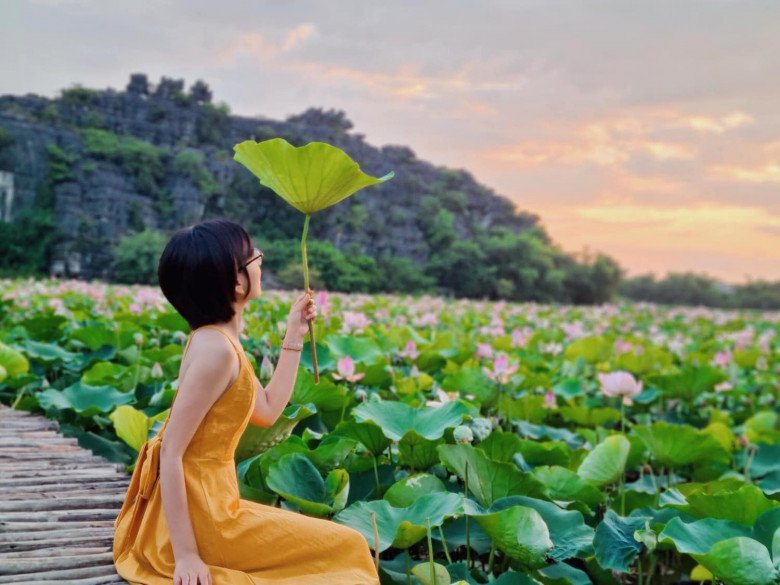 Đầm sen Ninh Bình đang là điểm đến “hot” nhất hiện tại, ai cũng khoe ảnh check-in cực đẹp - 3