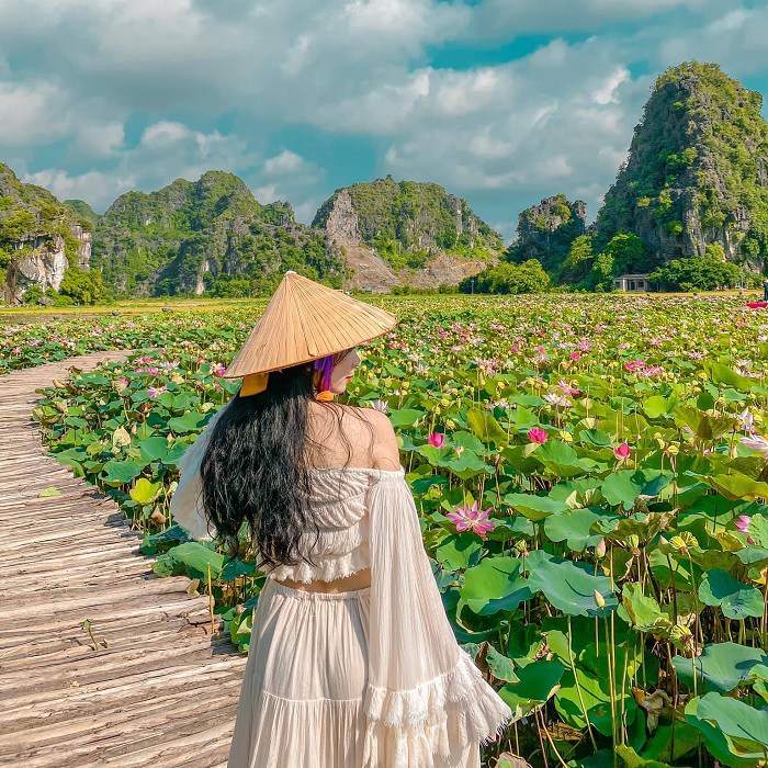 Đầm sen Ninh Bình đang là điểm đến “hot” nhất hiện tại, ai cũng khoe ảnh check-in cực đẹp - 1