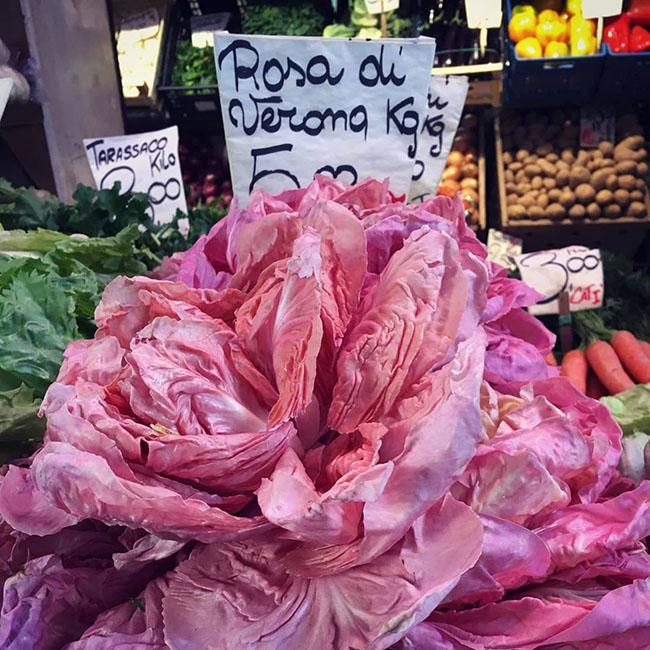 Mệnh danh là “Vua” các loại rau diếp, có giá lên đến 500.000 đồng/kg, không phải ai cũng biết loại rau này