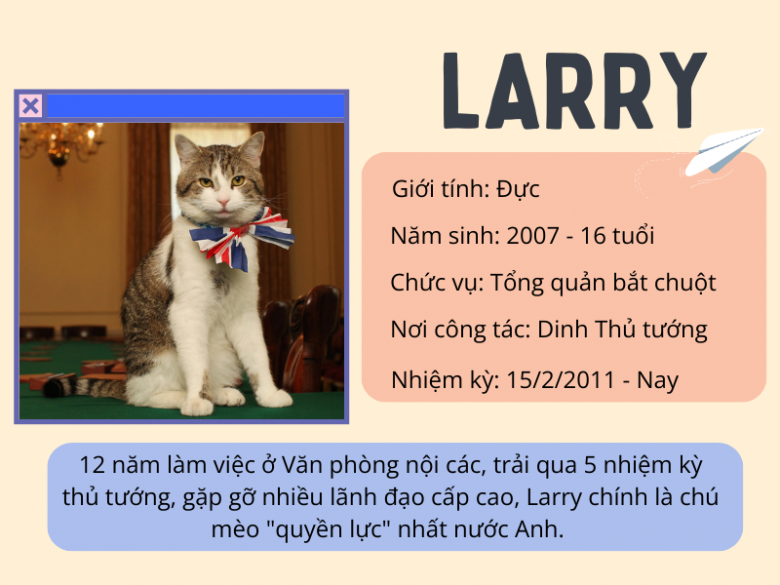Gặp gỡ chú mèo “quyền lực” nhất nước Anh, 12 năm làm việc cho chính phủ, thường xuyên tiếp đón chính trị gia - 1