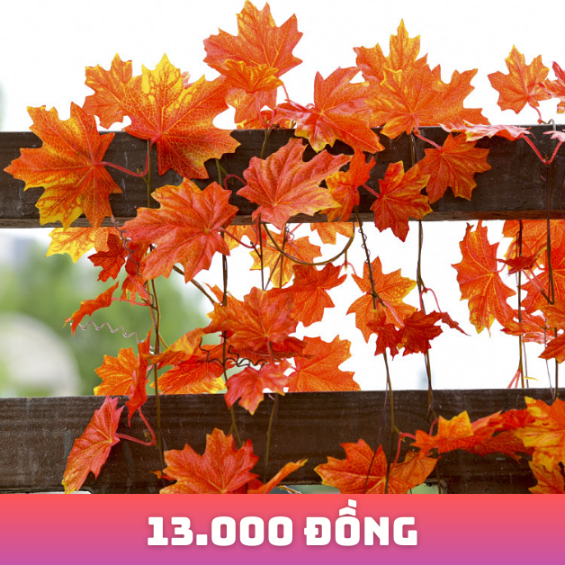 8 món đồ có thể mang mùa thu đến căn nhà của bạn, vừa tinh tế lại không kém phần sang trọng, có món chỉ 13 ngàn