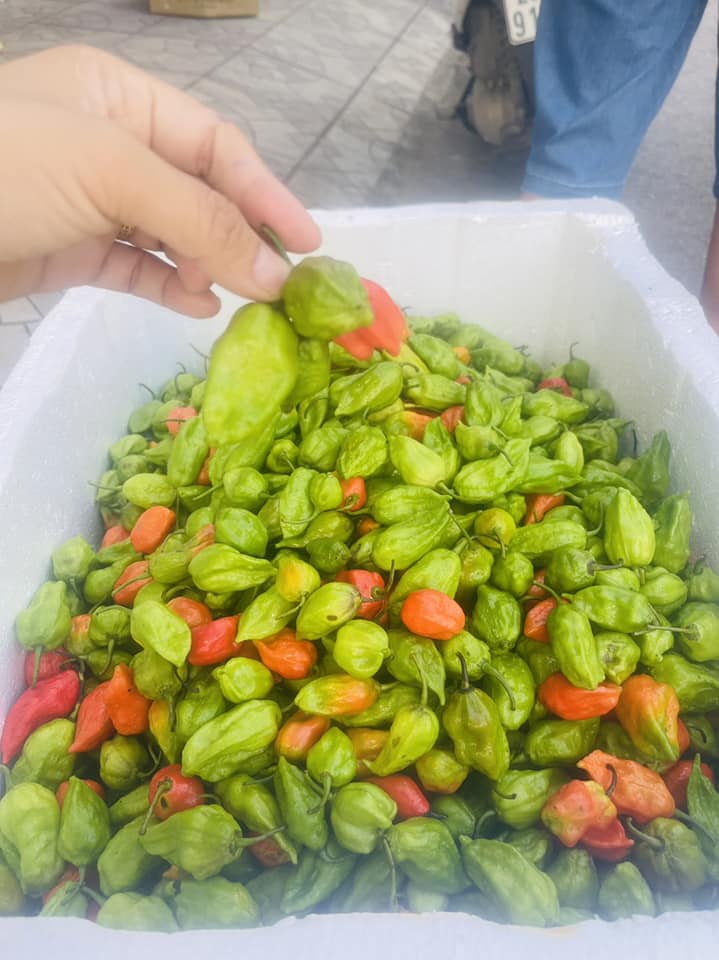 Loại quả xưa không ai biết đến, nay thành đặc sản vừa lạ vừa hiếm, dân thành phố &#34;săn lùng&#34;, 350.000 đồng/kg  - 3