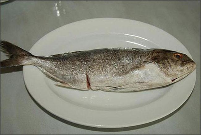 Loài cá cực ngon, nghe tên thì rất &#34;nhạy cảm&#34;, nhiều người tò mò mua ăn thử, giá bán 150.000 đồng/kg - 4