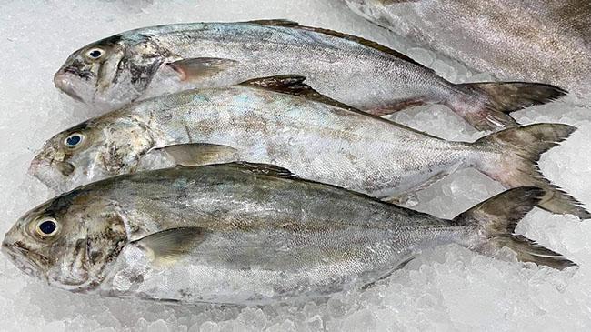 Loài cá cực ngon, nghe tên thì rất &#34;nhạy cảm&#34;, nhiều người tò mò mua ăn thử, giá bán 150.000 đồng/kg - 5