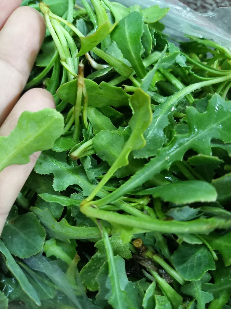 Loại rau dại xưa toàn nhổ vứt đi, nay thành đặc sản lạ ở thành phố có giá 200.000 đồng/kg, vừa ăn vừa làm thuốc - 1
