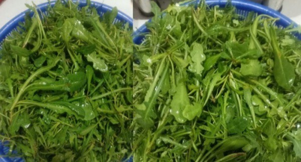 Loại rau dại xưa toàn nhổ vứt đi, nay thành đặc sản lạ ở thành phố có giá 200.000 đồng/kg, vừa ăn vừa làm thuốc - 3