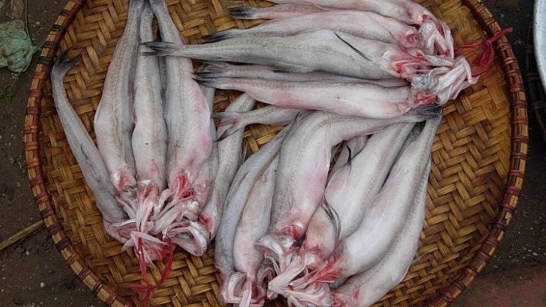 7 đặc sản Trà Vinh ngon quên lối về, có món xưa chẳng ai thèm ăn nay thành món ngon ai cũng lùng tìm - 5