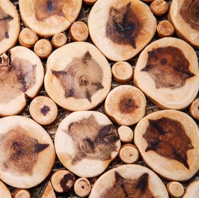 Thứ gỗ quý hiếm được ví là “Vương mộc”, ở Việt Nam không hiếm, giá hàng chục triệu đồng/kg