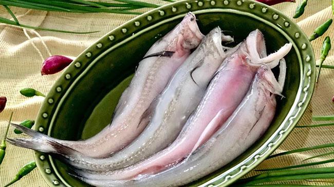 Loài cá thân mềm như cháo, hương vị tuyệt ngon mà giá chỉ hơn 200.000 đồng/kg - 4