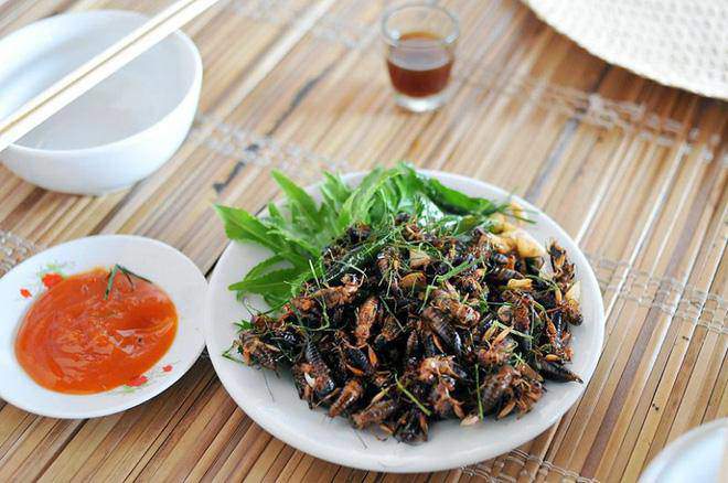 &#34;Lộc trời&#34; nằm trong hang sâu dưới đất, xưa không ai ăn, nay dân bắt về bán 200.000 đồng/kg thành đặc sản lạ - 2