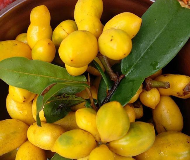 Thứ quả gắn liền với tuổi thơ trẻ con miền Trung, thử một lần nhớ mãi hương vị của nó, giá 40.000 đồng/kg - 5
