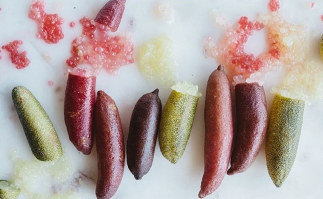 Loại quả bé như ngón tay giá 3 triệu đồng/kg, bên trong nhìn như trứng cá, Việt Nam đã ươm trồng thành công - 6