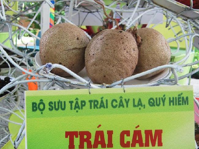 Vỏ ngoài nhìn như bưởi trong trắng như sắn, thứ quả độc đáo và quý hiếm ở Miền Tây, giá 100.000 đồng/kg - 7
