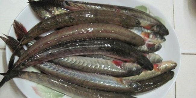 Đặc sản “giãy đành đạch” ở Cà Mau, càng ăn càng nghiện, giá 200.000 đồng/kg mà vẫn hút người mua - 2