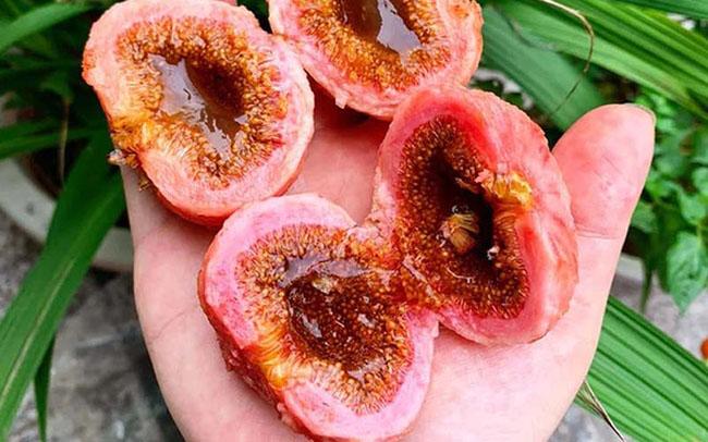 Thứ quả nghe tên đã muốn “né”, ăn xong thì lại thích mê vì ngon và tốt cho sức khỏe, giá 40.000 đồng/kg - 2