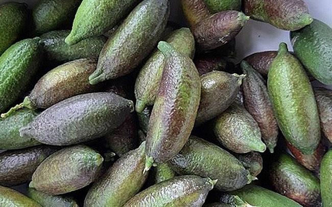 Loại quả bé như ngón tay giá 3 triệu đồng/kg, bên trong nhìn như trứng cá, Việt Nam đã ươm trồng thành công - 4
