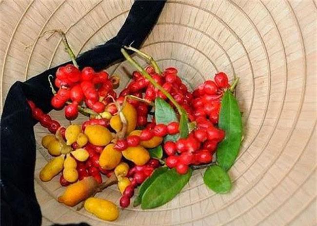 Loại quả nhìn như kẹo hồ lô, là thứ ăn vặt nổi tiếng ở Quảng Ngãi, nó vắng bóng trên chợ mạng và rất khó mua - 2