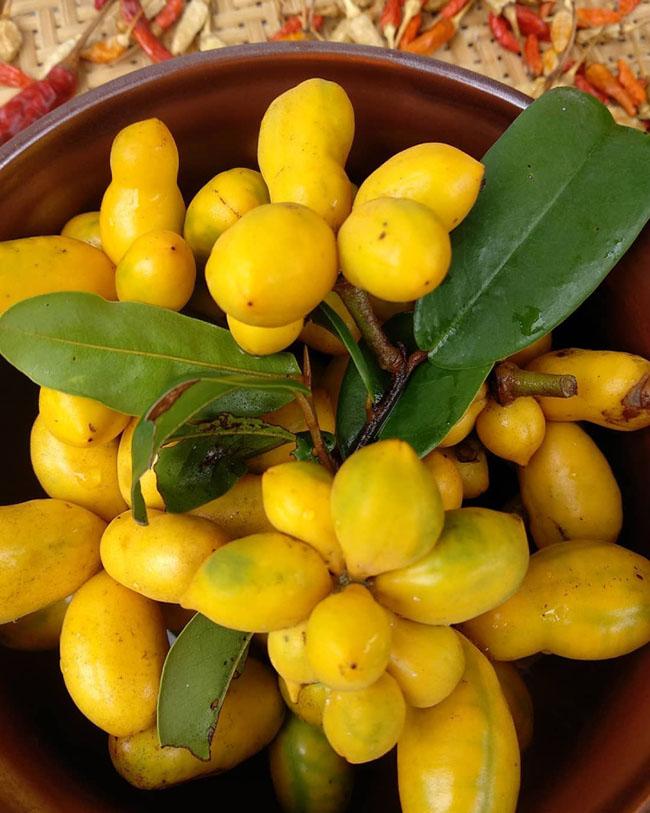 Thứ quả gắn liền với tuổi thơ trẻ con miền Trung, thử một lần nhớ mãi hương vị của nó, giá 40.000 đồng/kg - 7