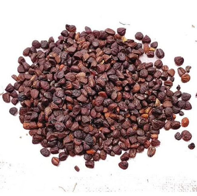 Hạt này được ví là “vàng đen” của Tây Bắc, có mùi thơm đặc biệt nên rất được ưa thích, giá gần 2 triệu đồng/kg - 1