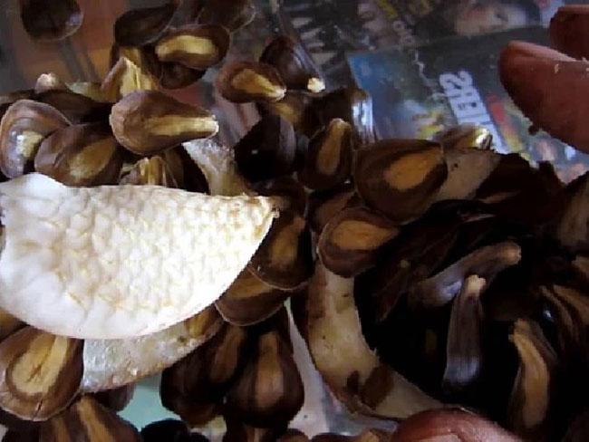 Vỏ ngoài nhìn như bưởi trong trắng như sắn, thứ quả độc đáo và quý hiếm ở Miền Tây, giá 100.000 đồng/kg - 5