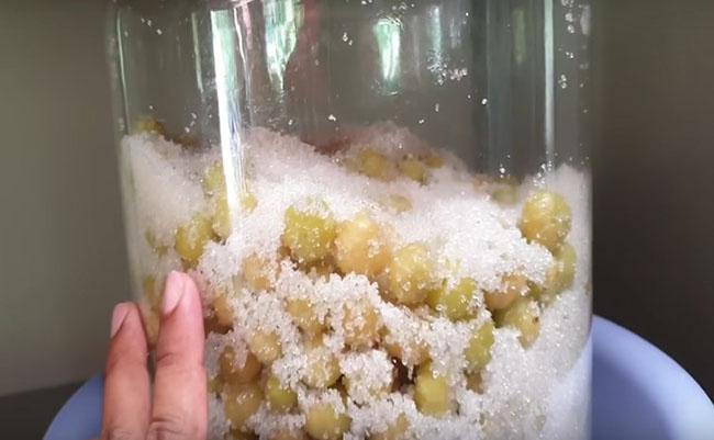 Thứ quả dại có lượng vitamin C cao như cam, trước rụng đầy gốc chả ai ăn, nay bỗng chốc hot, giá 50.000 đồng/kg - 10
