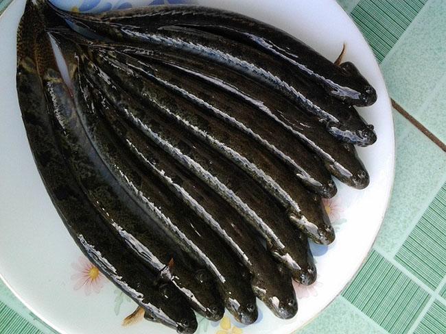 Đặc sản “giãy đành đạch” ở Cà Mau, càng ăn càng nghiện, giá 200.000 đồng/kg mà vẫn hút người mua - 4