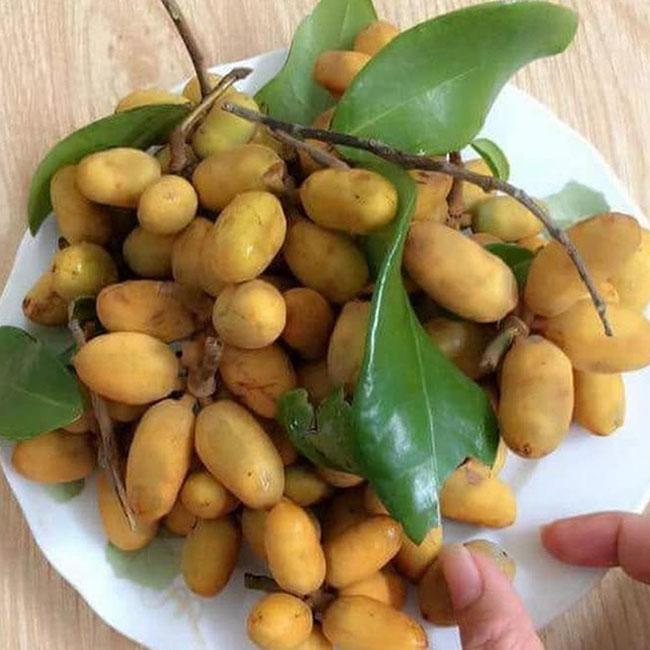 Thứ quả gắn liền với tuổi thơ trẻ con miền Trung, thử một lần nhớ mãi hương vị của nó, giá 40.000 đồng/kg - 4