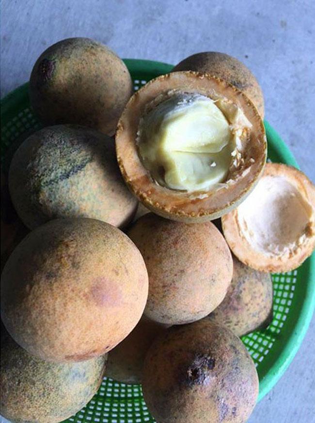 Vỏ ngoài nhìn như bưởi trong trắng như sắn, thứ quả độc đáo và quý hiếm ở Miền Tây, giá 100.000 đồng/kg - 6