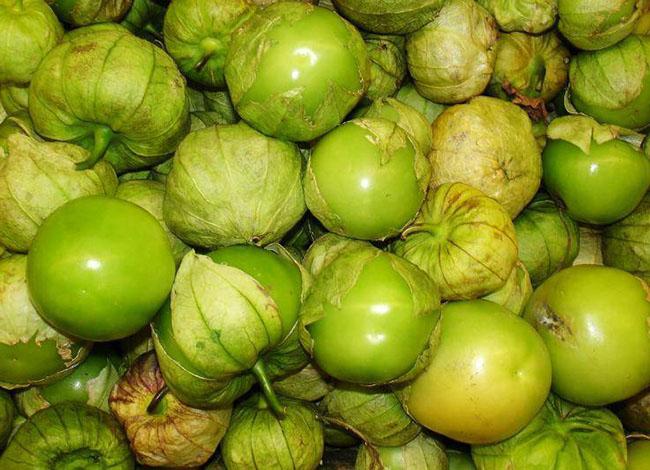 Loại quả có vitamin A cao gấp 8 cà rốt, trước mọc dại chả ai để ý giờ được săn lùng, giá 400.000 đồng/kg - 9