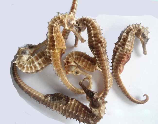 7 đặc sản Khánh Hòa mua về làm quà ai cũng khen nức nở, nhiều món cực bổ dưỡng cho sức khỏe - 1