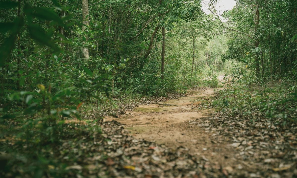 Du lịch Phú Quốc vào mùa mưa, ăn gì - chơi gì là hợp lý nhất? - 2