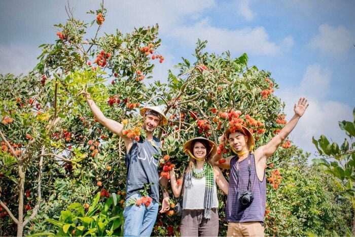 5 vườn trái cây ở Cần Thơ được ví như &#34;thiên đường quả ngọt&#34;, du khách tìm đến đông như trẩy hội - 1