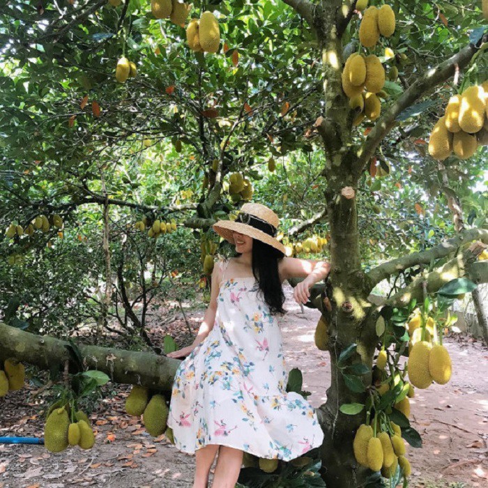 5 vườn trái cây ở Cần Thơ được ví như &#34;thiên đường quả ngọt&#34;, du khách tìm đến đông như trẩy hội - 4
