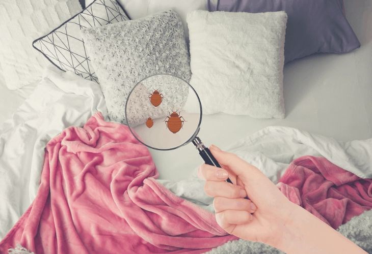 6 vật dụng quen thuộc trong nhà cần thay mới định kỳ, đặc biệt vào mùa mưa: Có món chỉ 5.000 đồng! - 1