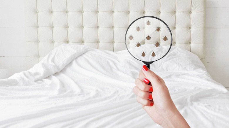 Phụ nữ ngủ nude hay mặc quần áo, ai có da dẻ đẹp và giảm cân tốt hơn? - 3