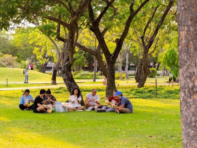 Lưu ngay 3 địa điểm picnic, cắm trại ngắm hoàng hôn “chill” cùng gia đình ngay trung tâm TP.HCM - 4