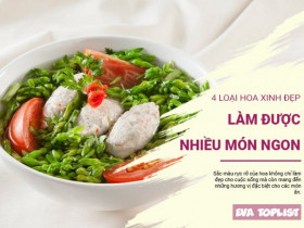 Bất ngờ với 4 loại hoa có thể "biến hình" thành món ngon