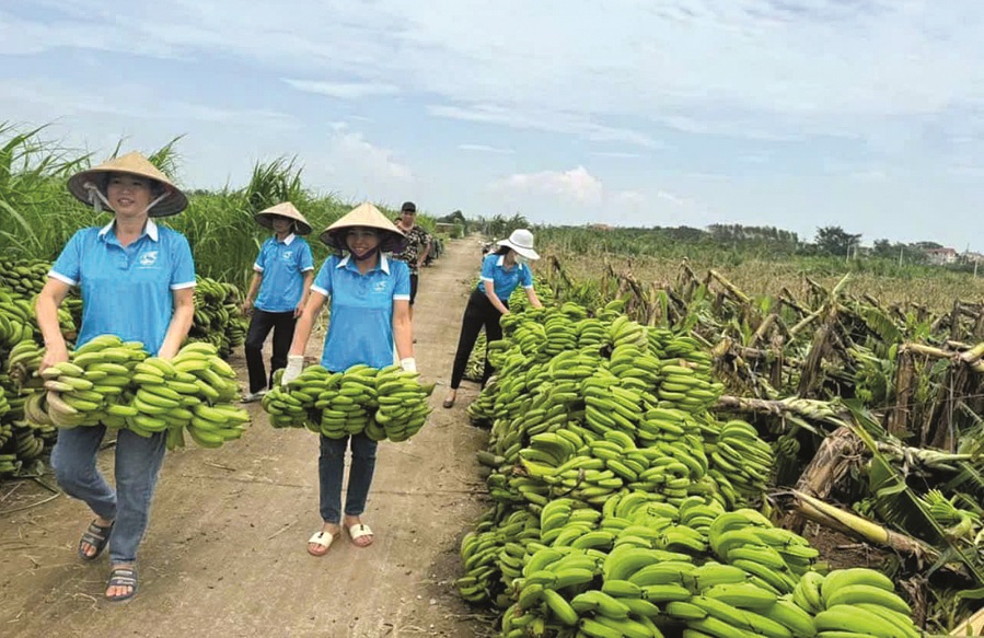 Nhân lên yêu thương trong những ngày bão lũ - 3