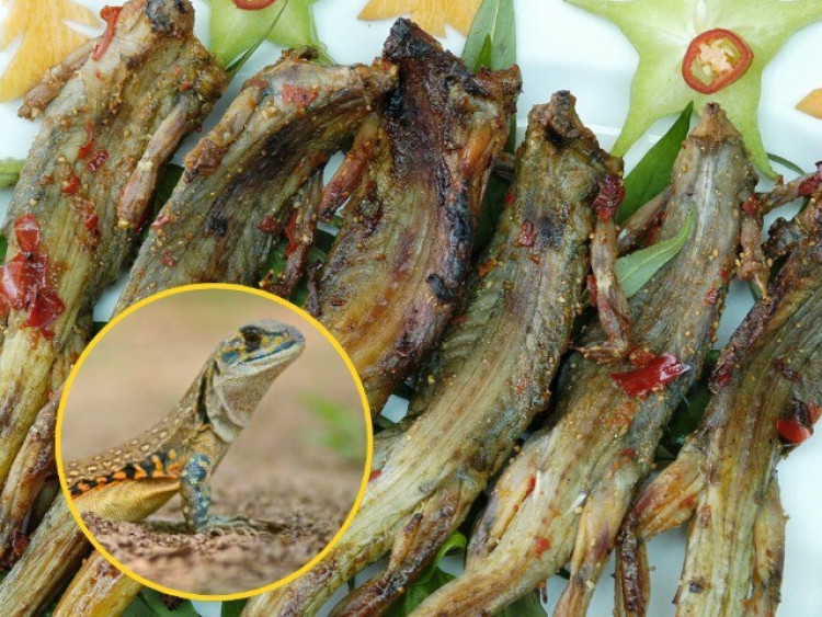 Đặc sản hiếm có ở miền Trung, nhìn bề ngoài "nổi da gà" nhưng cực thơm ngon, xưa ít ai dám ăn nay thành món hút khách du lịch