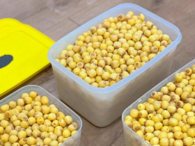 Cách bảo quản hạt sen để cả năm vẫn giữ được màu vàng tươi, không sượng