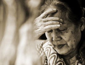 Cháu mới là người có lỗi