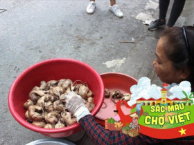 Về khu chợ độc nhất vô nhị ở Hải Phòng, chỉ bán một loại thịt "rùng rợn" mà cực kỳ đông khách