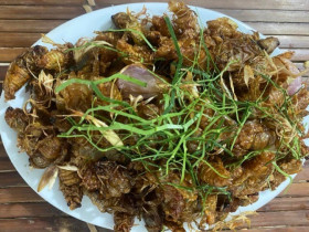 Loại côn trùng khiến nhiều người "rùng mình" bất ngờ thành đặc sản được nhà giàu săn lùng, giá 600.000 đồng/kg vẫn có người mua