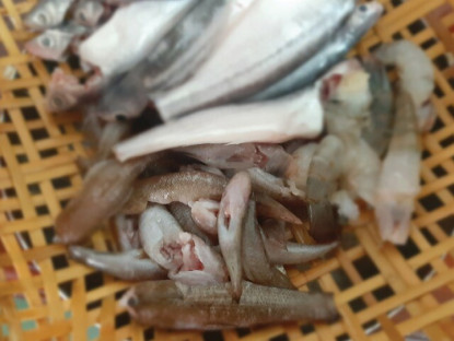 Cá "nhà nghèo" nay lên đời thành đặc sản dân thành phố săn lùng, đặt hàng trước cả tháng mới có